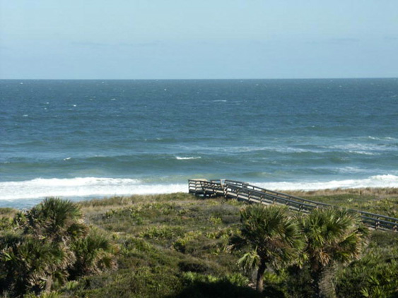 surf-club-ocean-view