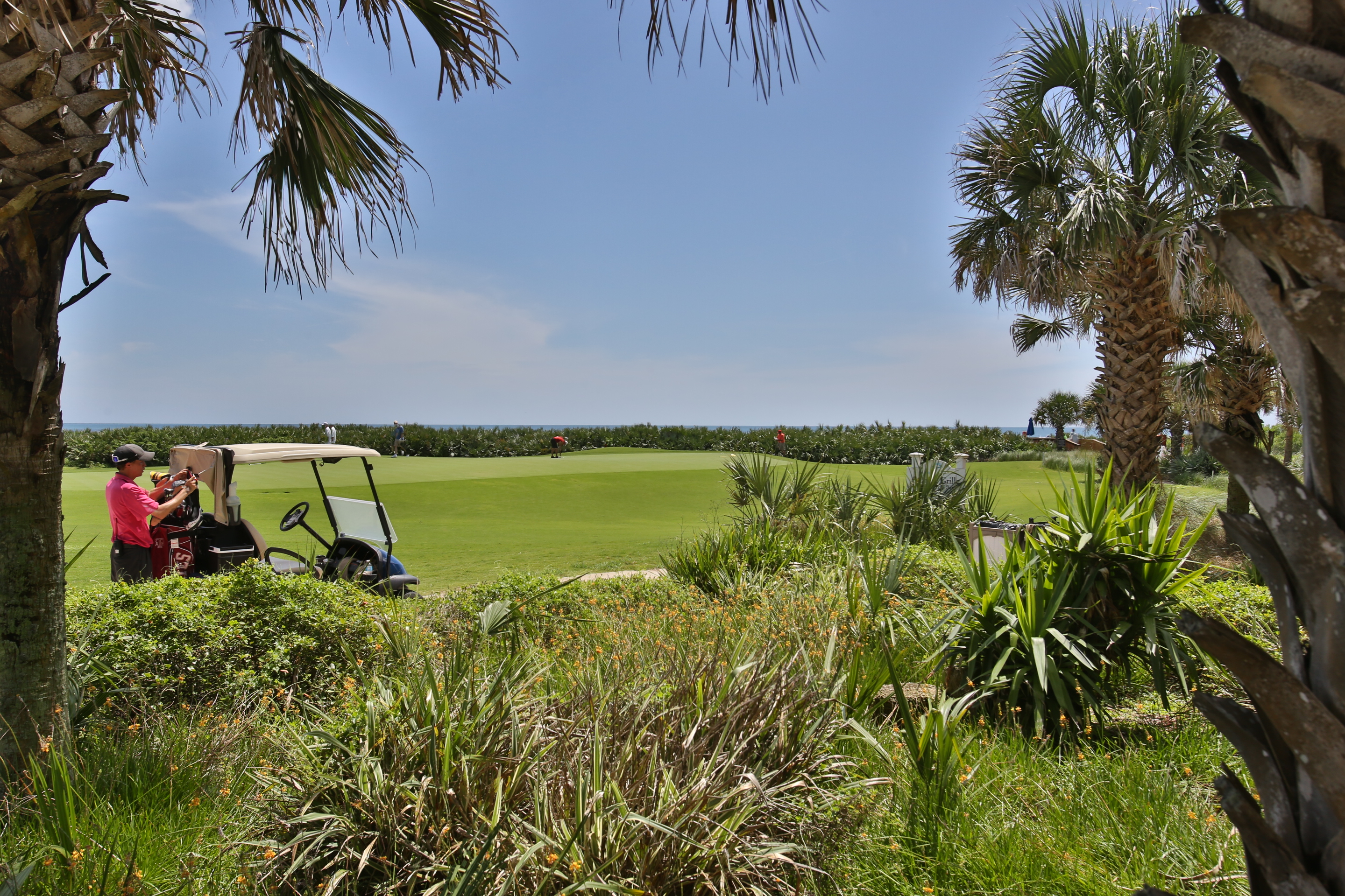 hammock beach golfer cart 18th green new 3