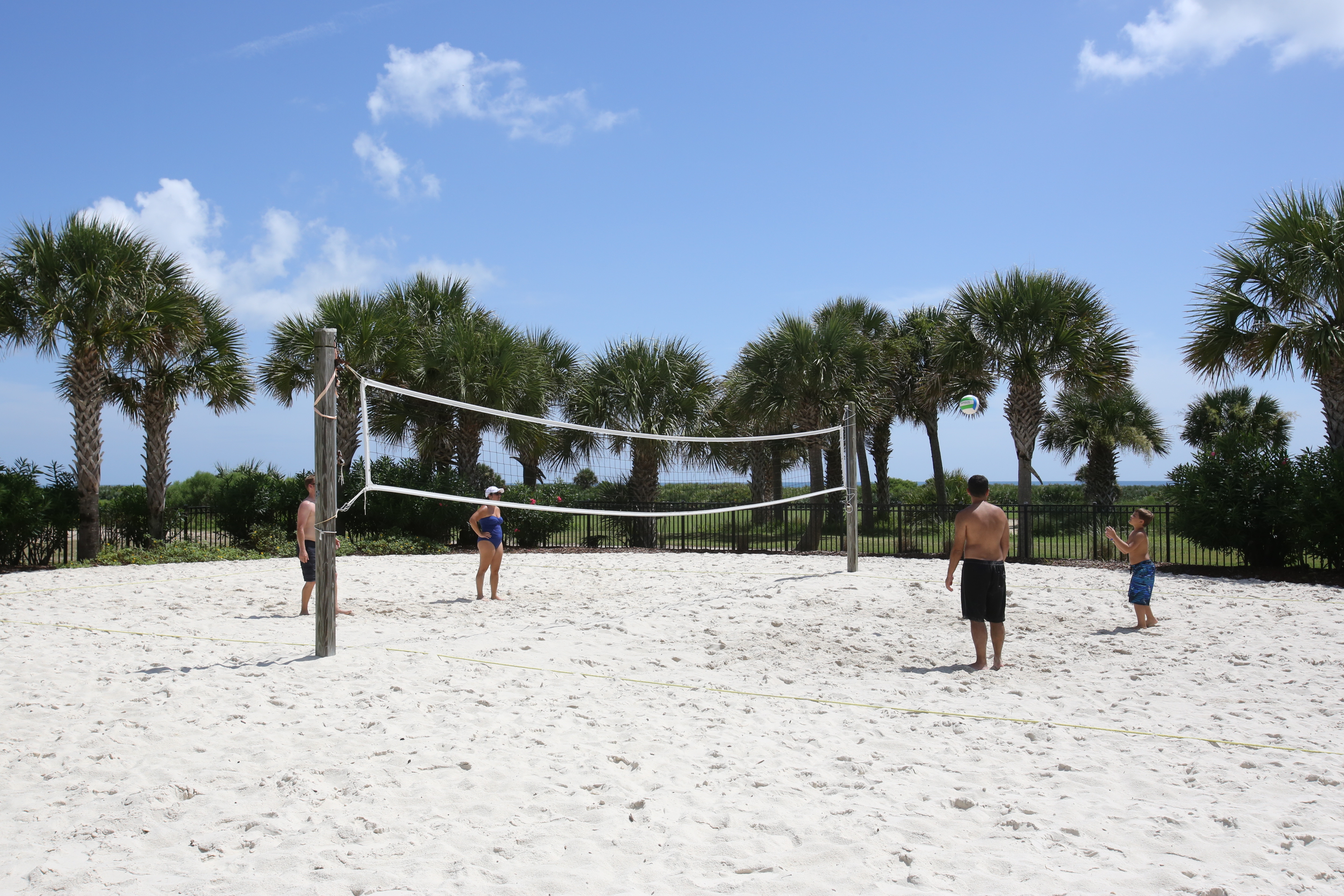 hammock beach volleyball sand new